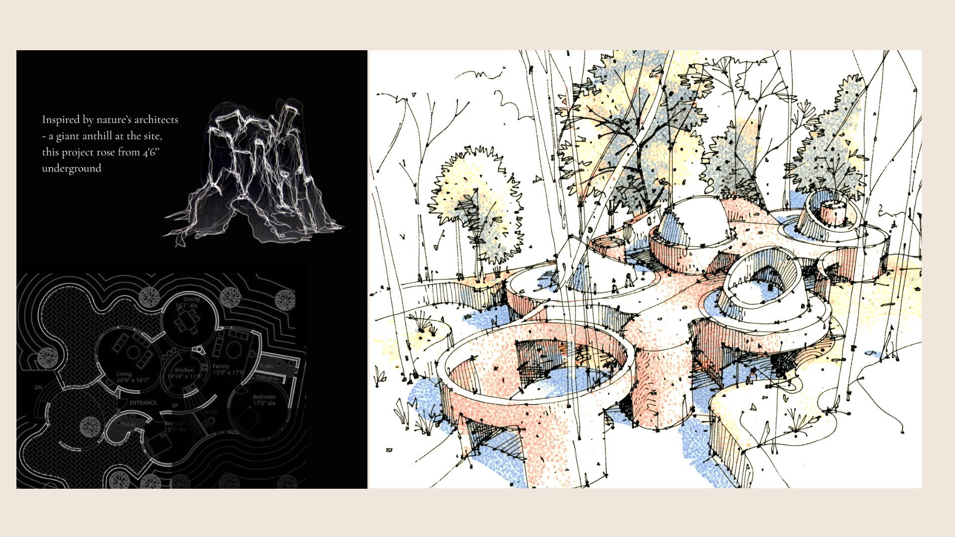 Anthill_concept